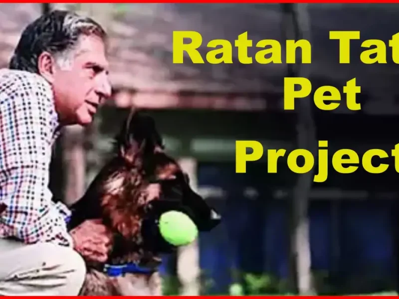 Pet Project