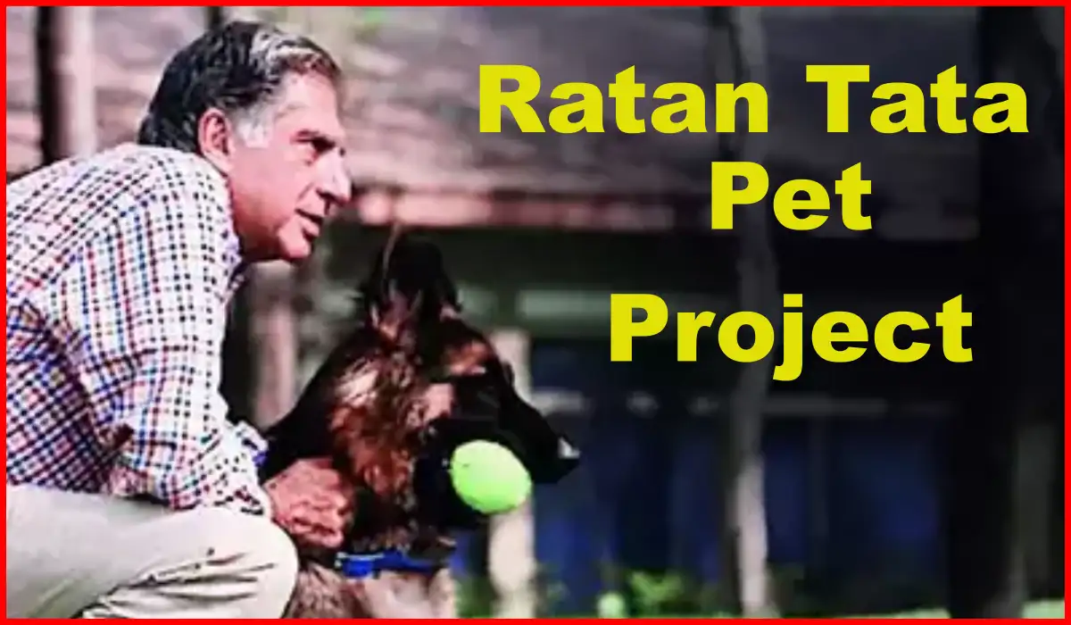 Pet Project