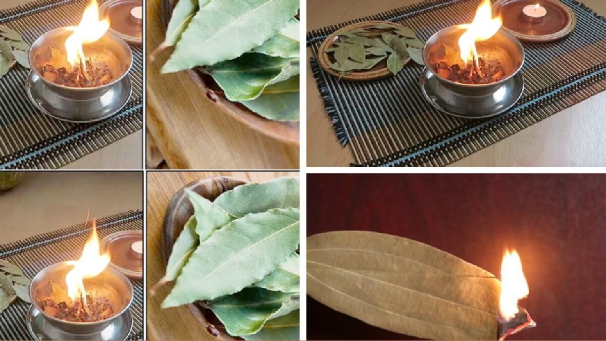 What Happens If You Burn A Bay Leaf In The Bedroom At Night