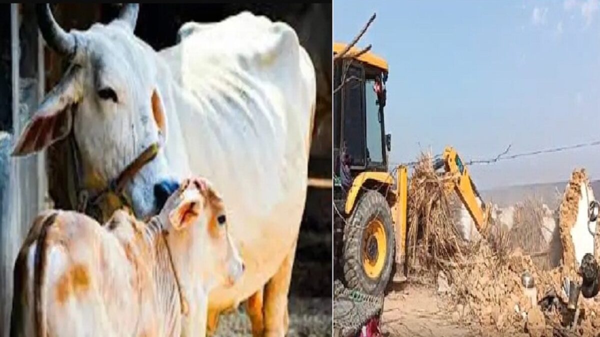 beef market case Alwar