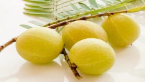 benefits of amla