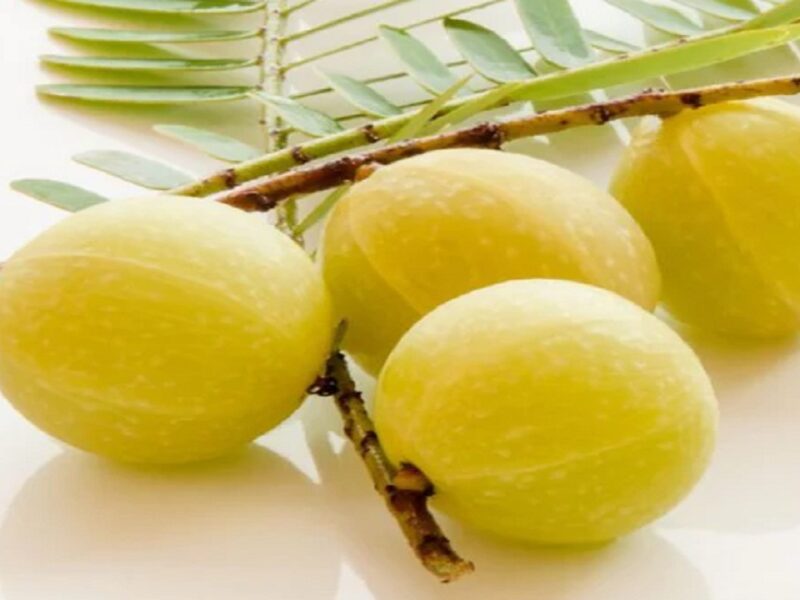 benefits of amla