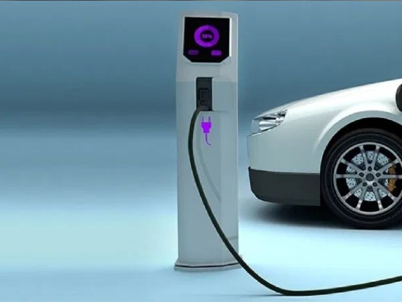 Electric segment of Maruti Suzuki