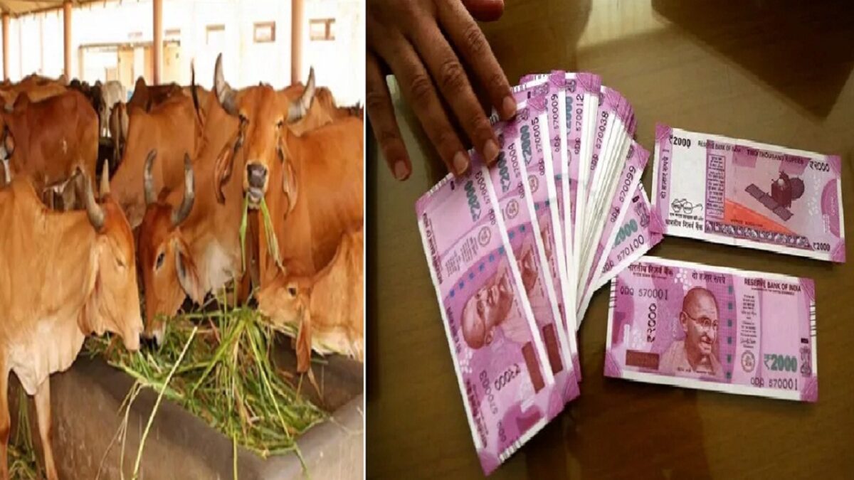 Pashu Kisan Credit Scheme