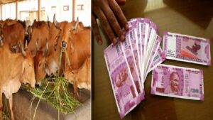 Pashu Kisan Credit Scheme