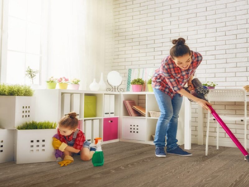 best homemade mopping solution