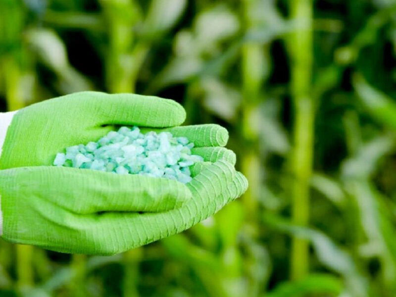 fertilizer subsidy 2024