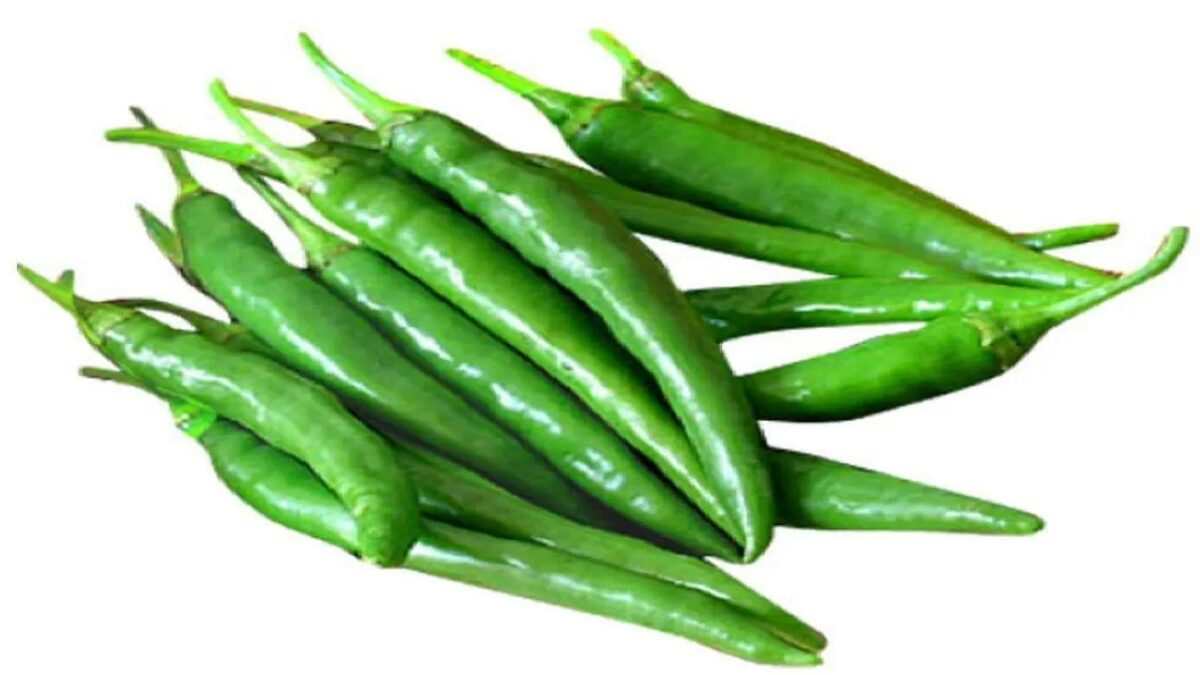 green chillies always fresh