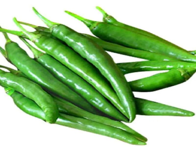 green chillies always fresh