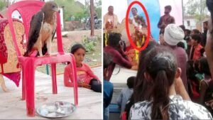 Dead Father Came To Daughter as a hawk