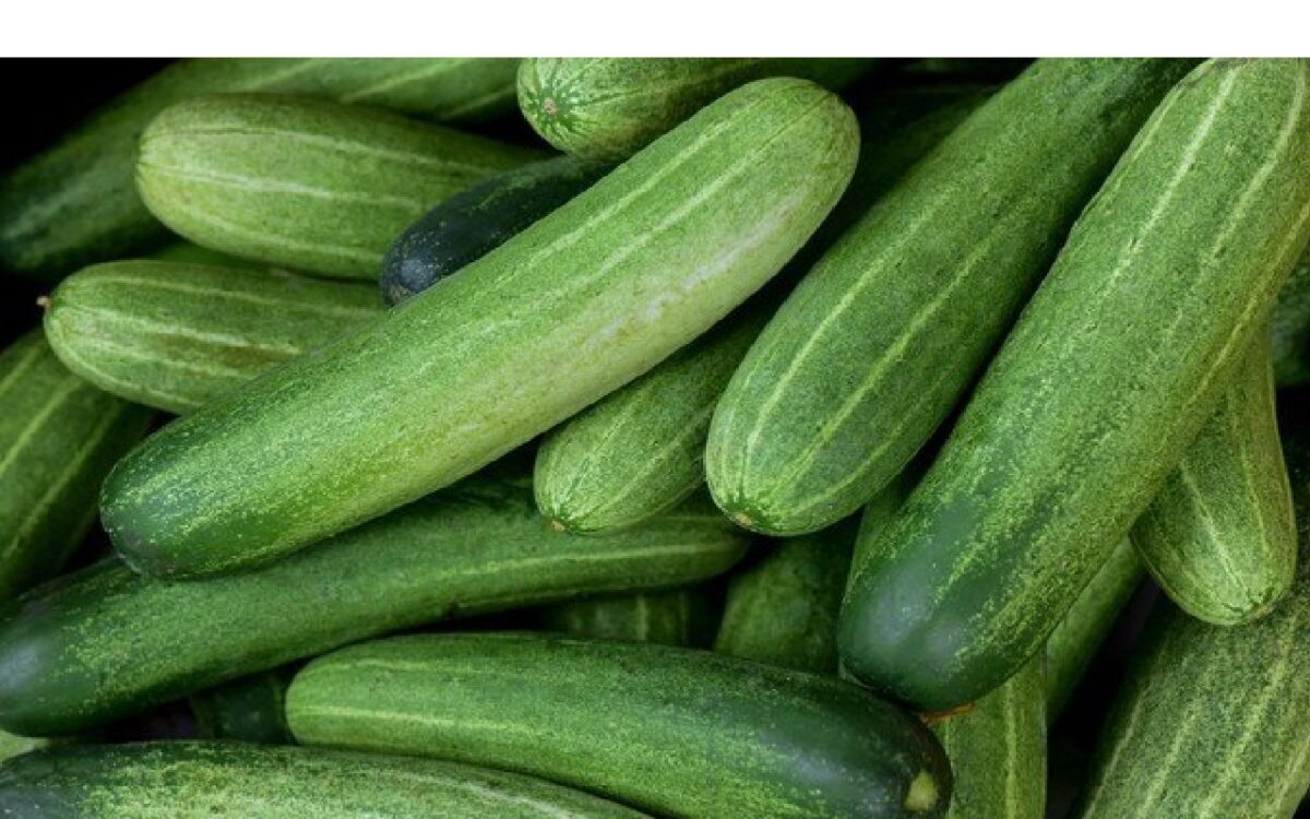 Doing Mistake While Eating Cucumber