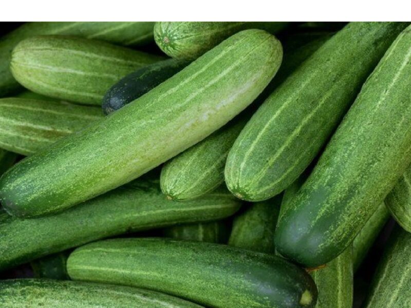 Doing Mistake While Eating Cucumber