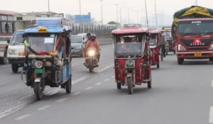 Electric Mobility Scheme