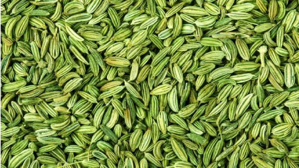 Loose Weight From Fennel Seeds