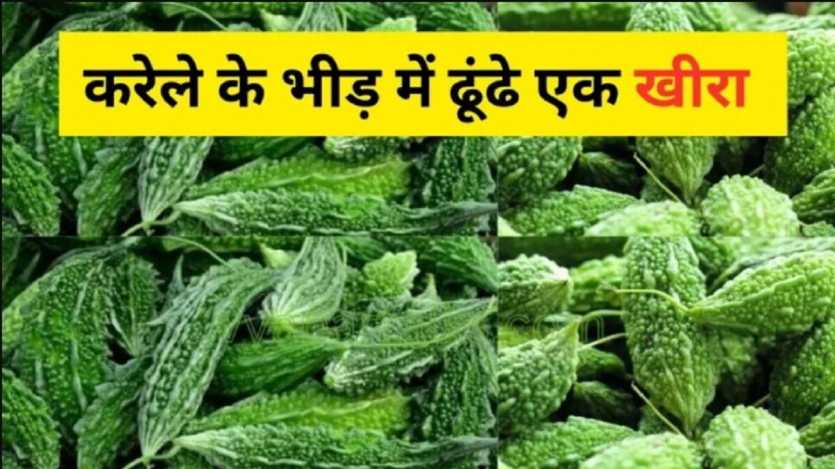 Optical Illusions game