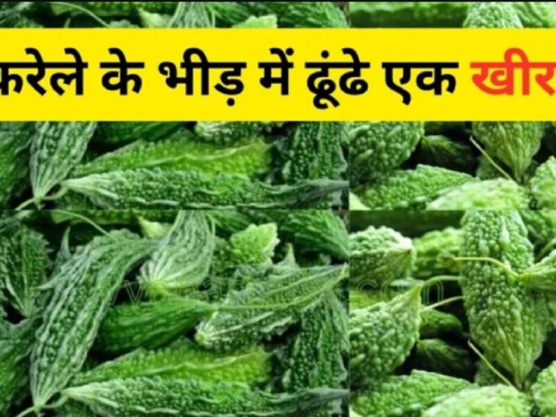 Optical Illusions game