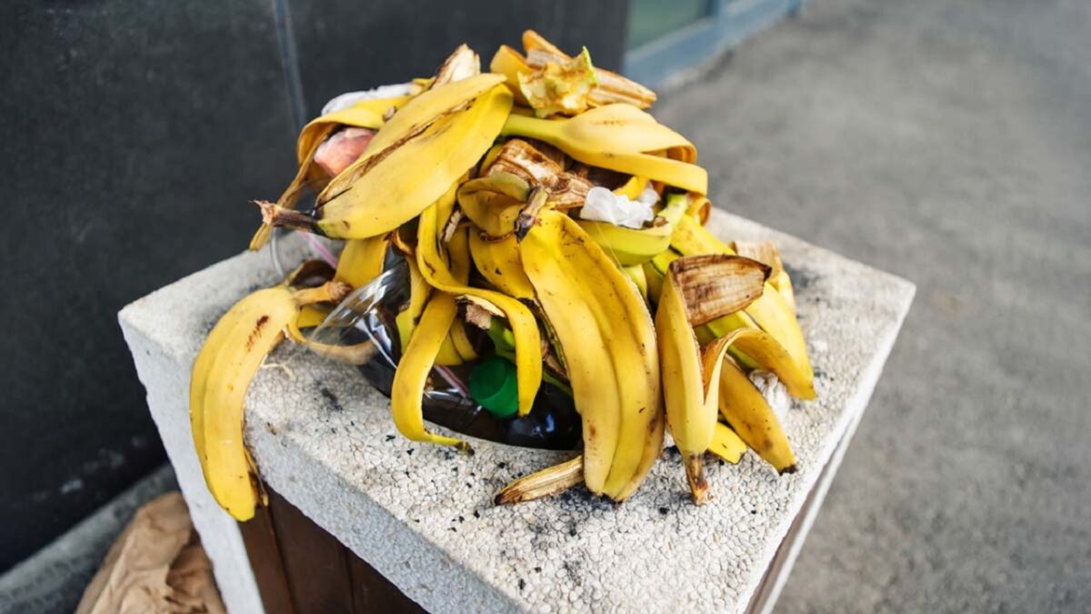 banana peel compost