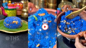blue colored rice