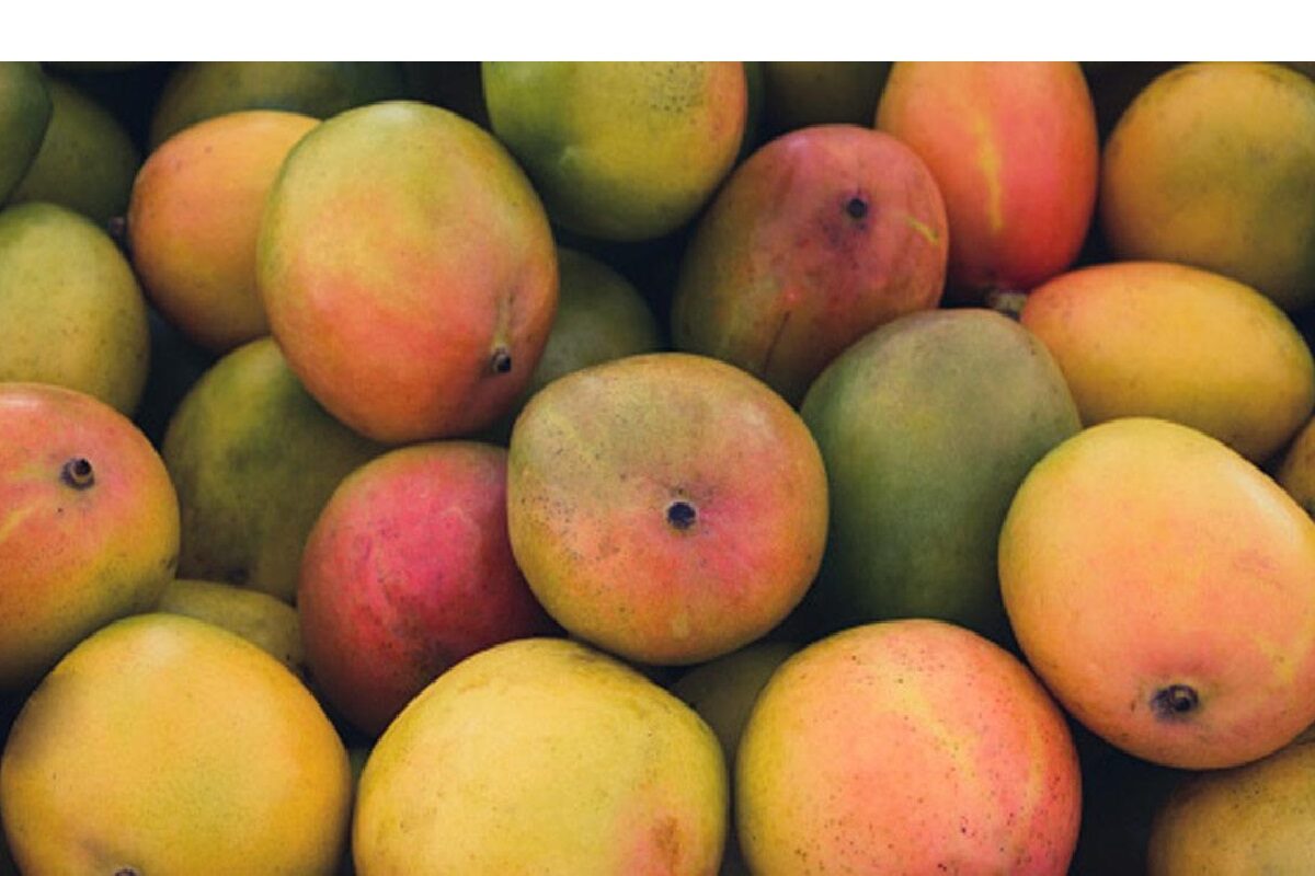 How To Differentiate Between Chemical And Natural Mango