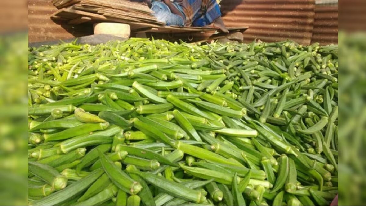 Jaipur Woman Shows Reality Of Green Ladyfingers