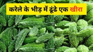 optical illusion game