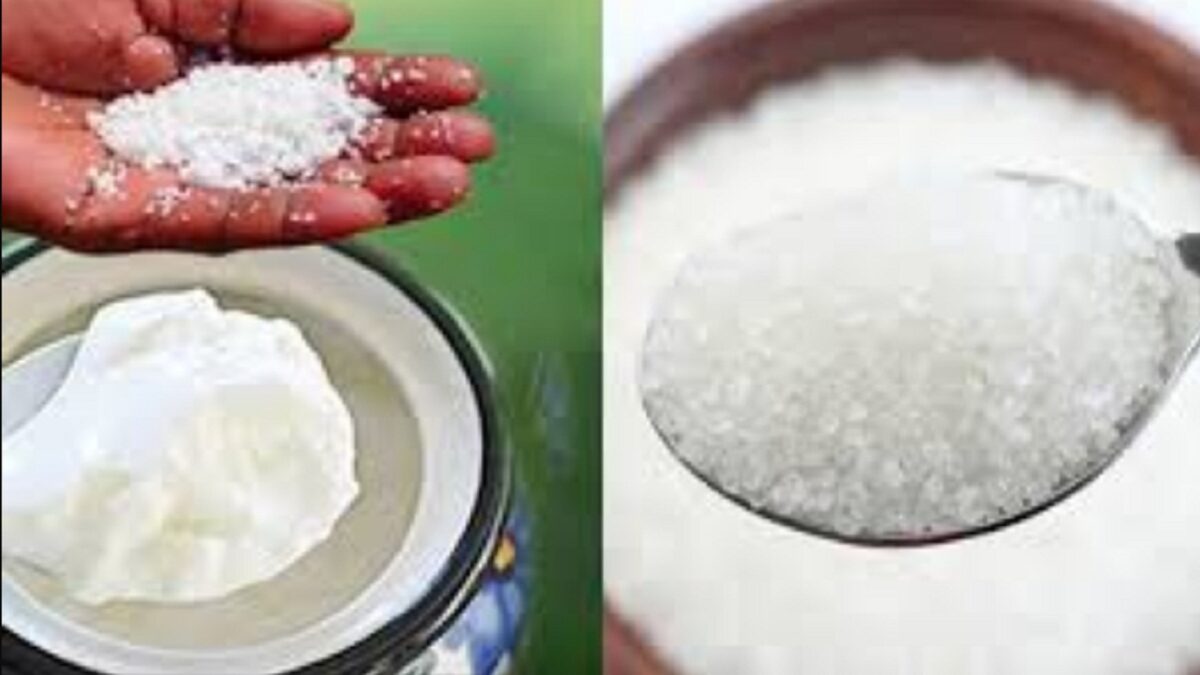 sugar or salt in curd