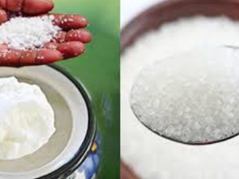 sugar or salt in curd