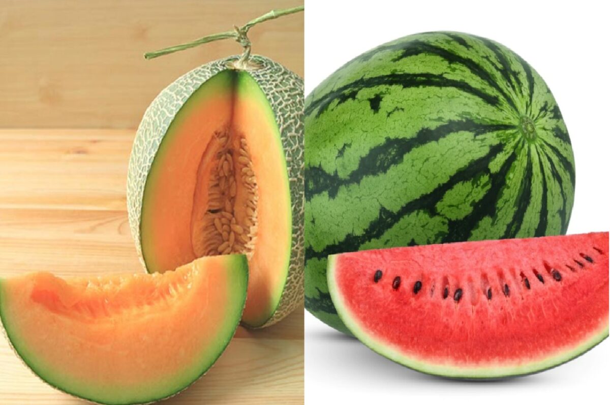Watermelon VS Muskmelon