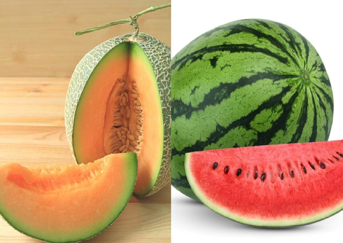 Watermelon VS Muskmelon