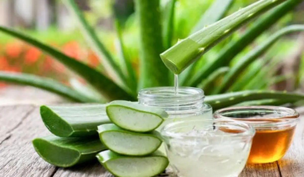 Aloe Vera Face Pack