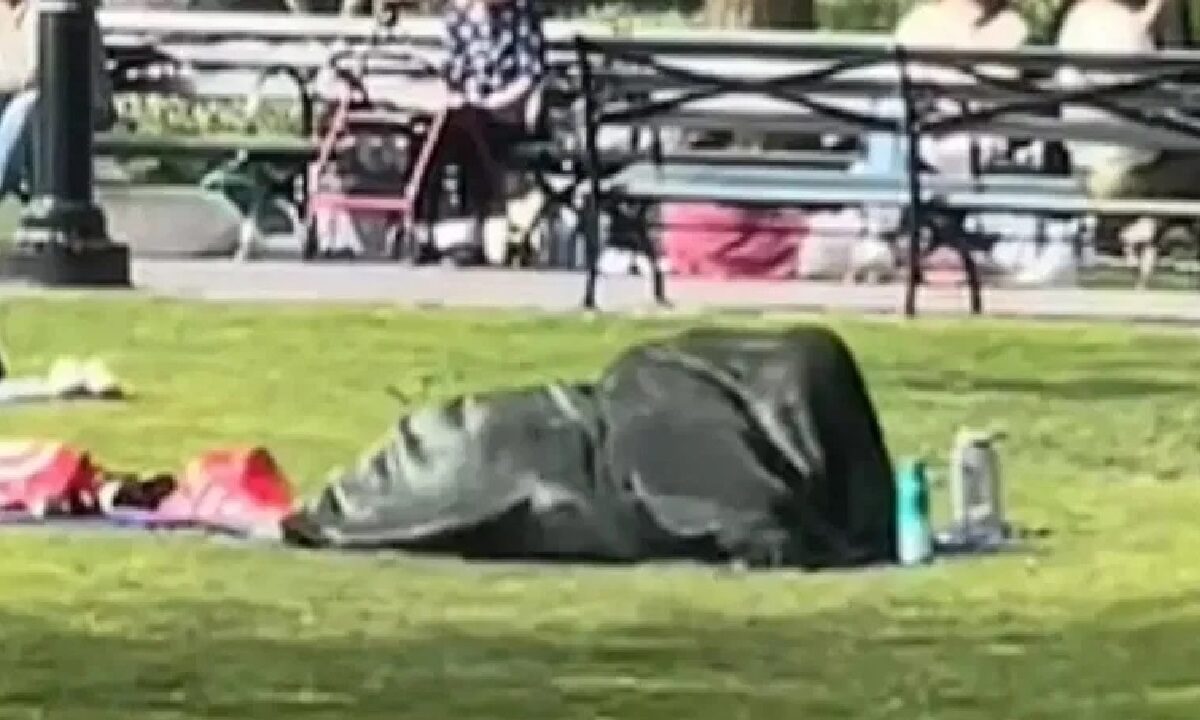 Couple In Blanket Video Viral