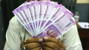 Potato Chips Business