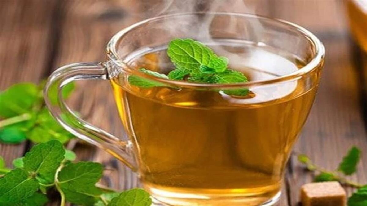Tulsi Tea Benefits