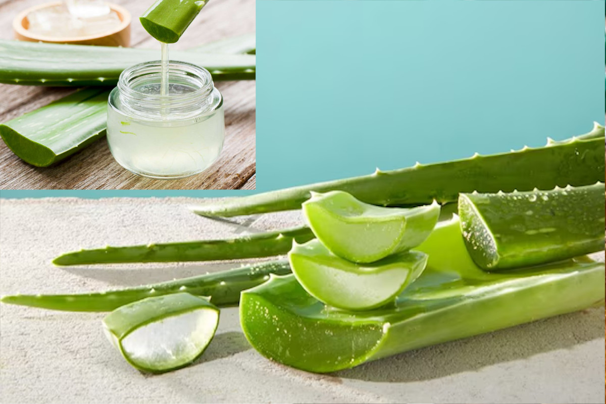 aloe vera benefits