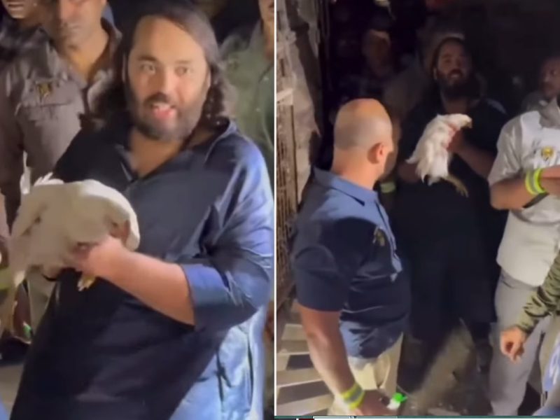 anant ambani video