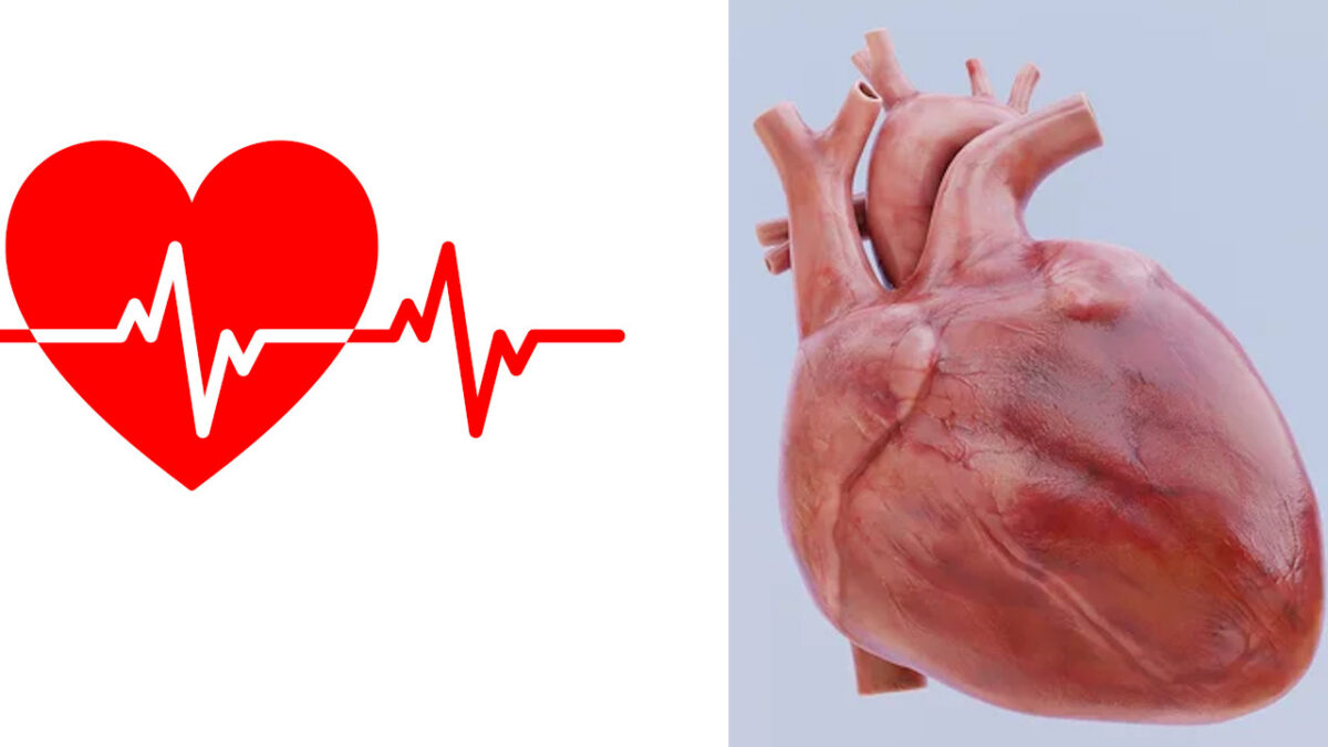 heart news