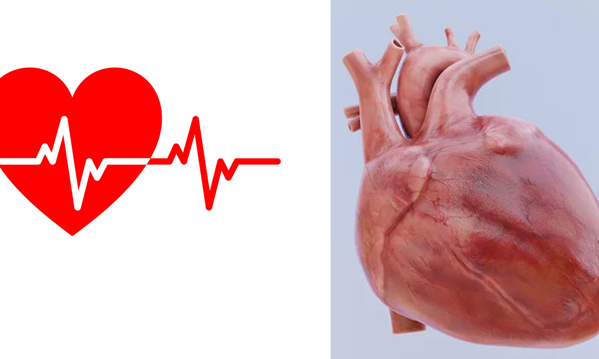 heart news