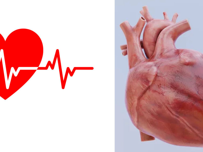 heart news