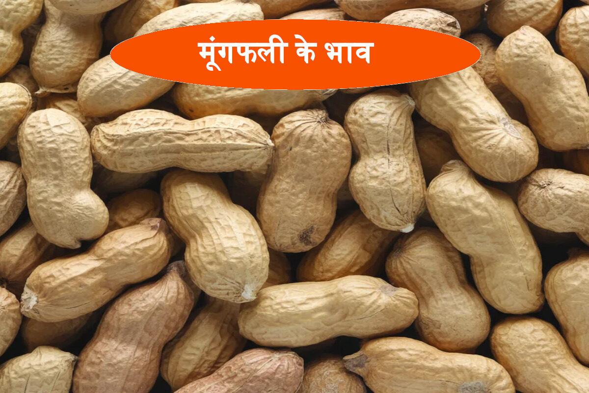 moongfali ke bhav
