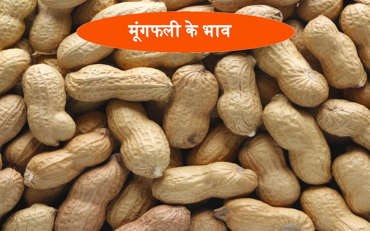moongfali ke bhav
