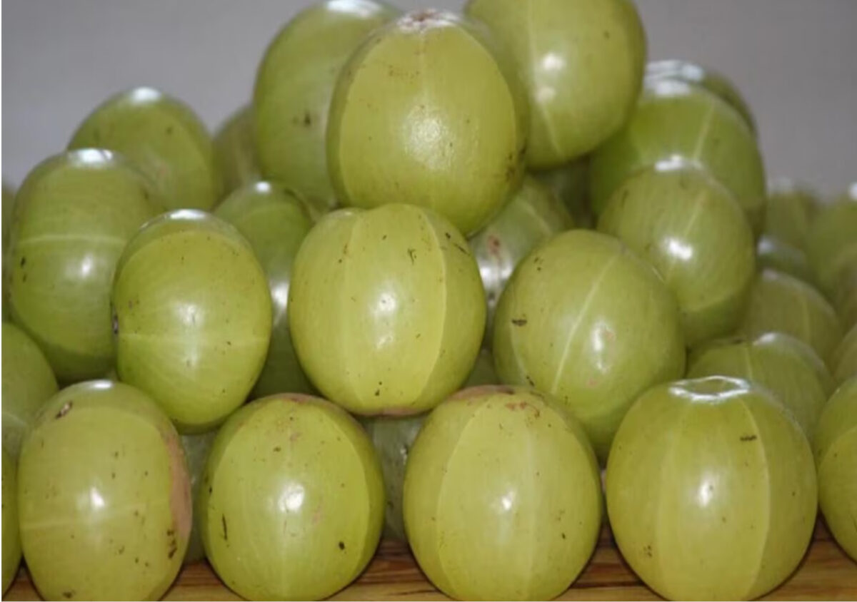 amla benefits