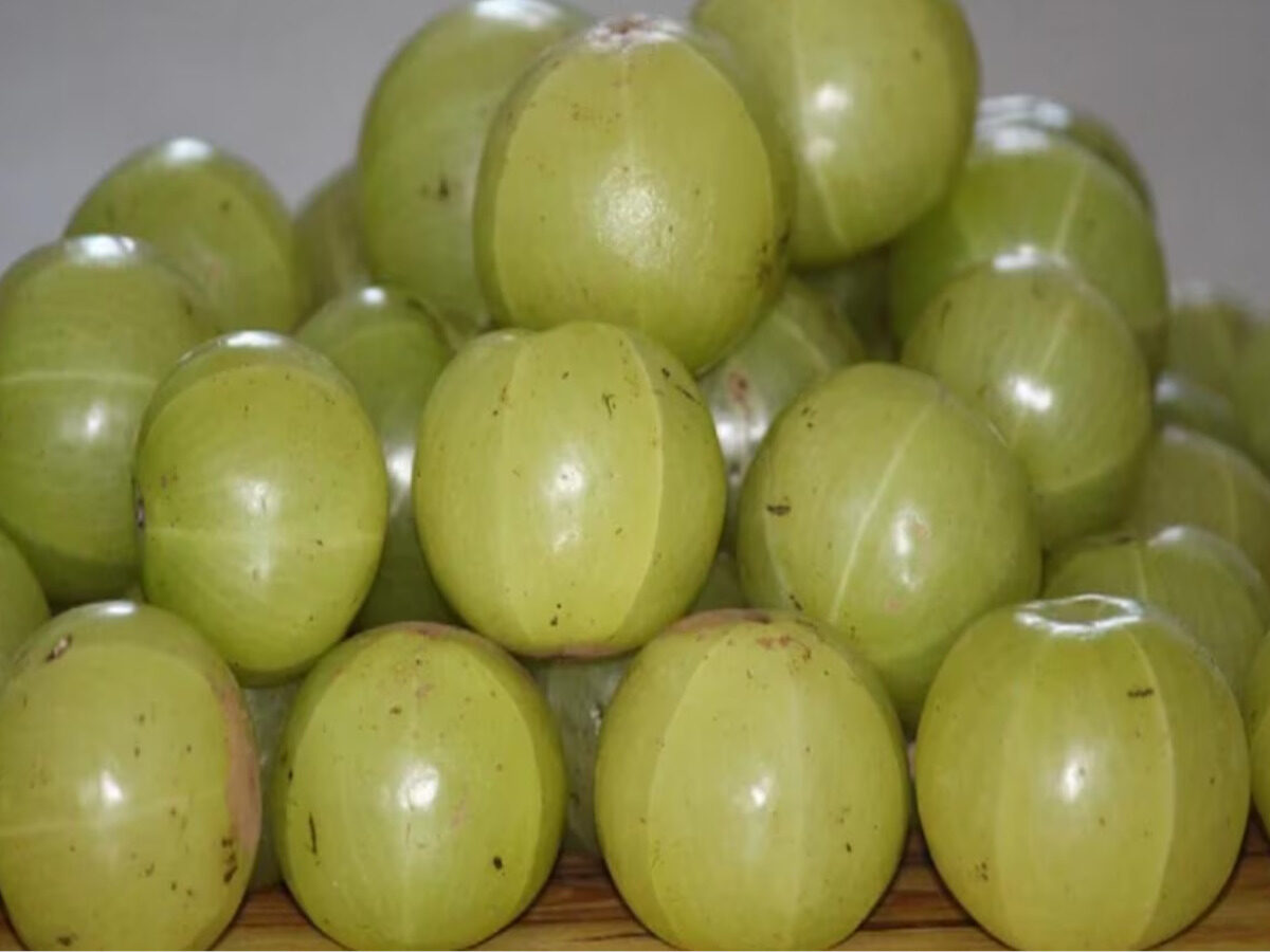 amla benefits