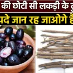 jamun ke fayde