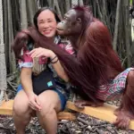 monkey