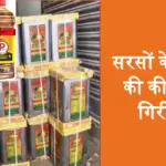 sarso oil price