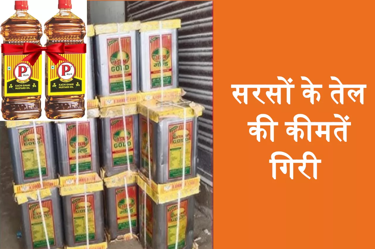 sarso oil price