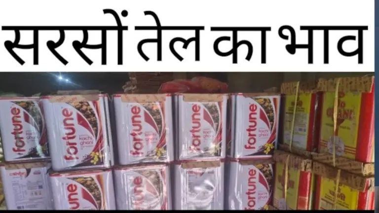 खाद्य तेल में सरसों तेल की कीमतें गिरी औंधे मुंह, एक दिन में 54 रुपए कम हुआ